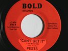 Park Avenue PESTS – Can't Get It/Echos Private 80s Garage Power Pop/Punk 45 HEAR