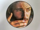 BRUCE SPRINGSTEEN THE WILD, THE INNOCENT & THE E STREET SHUFFLE PIC DISC 12