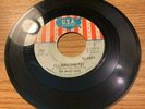 GARAGE FUZZ 45 THE SHADY DAZE I'LL MAKE YOU PAY DJ PROMO USA 883