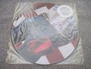 BRUCE SPRINGSTEEN Born In The USA 1984 LTD EDN PICTURE DISC Columbia  MINT