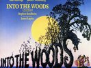 Stephen Sondheim - Into The WoodsOriginal Cast Recording - Vinyl R.. - b7493b