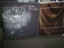 COCTEAU TWINS TREASURE POST PUNK GOTHIC ETHEREAL IVO LP 12