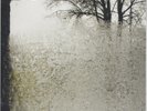 Bon Iver – For Emma, Forever Ago [12'' VINYL] NEW & SEALED