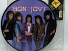 Bon Jovi Slippery When Wet Picture Disc 12” Vinyl LP 1986 Polygram Records