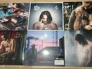 Sch - Pack 6 Vinyles (A7, Anarchie, julius 1 & 2, Rooftop, deo favente) NEUF