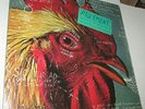 rare PAVEMENT watery domestic SEALED ORIGINAL 1992 VINYL EP+hype Stephen Malkmus