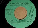 Larry Houston AMBASSADOR 1032 M- 