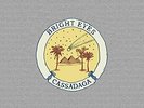 Cassadaga by Bright Eyes (Vinyl 2LP, 2016)