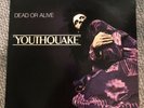 Dead Or Alive: Youthquake Vinyl LP Epic EPC 26420 Ex/Ex