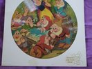 Walt Disney's Snow White and the Seven Dwarfs  1980 Picture Disc LP  Vinyl album
