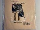 Lucero & the City Mouse 7