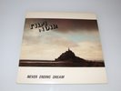 Film Noir Never Ending Dream Wipe Out  Records 003 LP Vinyl 1986 Post Punk RARE