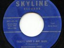 HEAR- Rare Rockabilly 45- Blankenship Bros- That's Why I Am Blue- Skyline 45-106