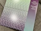 The Dave Matthews Band Remember Two Things LP Vinyl Record Album DMB