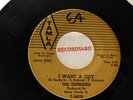 The Supremes 45 Tamla 54038 I Want A Guy / Never Again