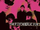 The Psychedelic Furs SELF TITLED 180g COLUMBIA RECORDS New Sealed Black Vinyl LP