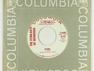 Garage Psych 45 - Sting-Rays Of Newburgh - Fool - Columbia - mp3
