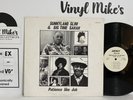 SUNNYLAND SLIM Patience Like Job  Vinyl Album 4746 EX RARE Ultrasonically Clean