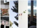 COUNTERPARTS-DIFFERENCE BETWEEN HELL & HOME VINYL LP NEW
