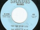 HEAR Shades Of Blue-The Time Of My Life MINT 66 IL BYRDSY JANGLE GARAGE WINNERS