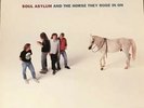 SOUL ASYLUM AND THE HORSE THAT THEY RODE IN ON A&M Vinyl LP Original 1991