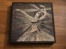 Neutral Milk Hotel vinyl discography box set OOP