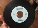 The Apolloes Laugh in My Face Apolloe 1966 Georgia Garage Punk Rare 45 VG