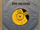 THE ORANGE SEAWEED - Stay Awhile  7