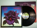 THIN LIZZY-BLACK ROSE..SUPERB  1ST UK PRESS NEAR MINT VINYL LP RECORD 1979