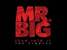 Mr.Big - Lean Into It - The Singles (NEW 5x7