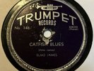Blues 78 ELMO JAMES & BOBO THOMAS Catfish Blues TRUMPET Dust My Broom HEAR