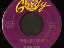 TEMPTATIONS: i want a love i can see GORDY 7