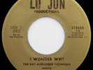 UltraRare 45 Ray Alexander Technique I WONDER WHY / I AM IN LOVE WITH YOU Listen