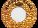 The Green Lights SOME ONE TO LOVE Rare reggae 45 on RECORD RAMA
