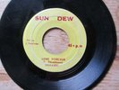 Dynamic – Love Forever Bim Sherman Very Rare Reggae 7 inch Sun Dew