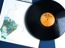 EXCELLENT LOS ANGELES PRESS JONI MITCHELL LADIES OF THE CANYON VINTAGE VINYL LP