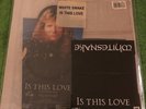 Whitesnake - Is This Love - Original UK shaped vinyl Picture Disc, 7