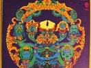 GRATEFUL DEAD Anthem Of The Sun UK Warners K 46021 NMINT / EX 1970s Press