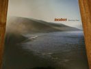 Incubus – Morning View (Repress, Vinyl, LP) BRAND NEW SEALED COPY