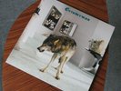 Grinderman 