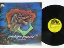 KLAUS SCHULZE PICTURE MUSIC BRAIN METRONOME UXP-677-EB JAPAN OBI VINYL LP