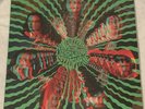 King Gizzard & The Lizard Wizard - CELLOPHANE - 2014 - Rare 3D Version MINT