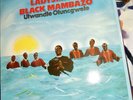 LADYSMITH BLACK MAMBAZO, ULWANDLE OLUNCGWELE, LP