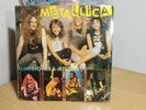 Metallica Flintstones & Jetsons Official Taifun Pink Label Double Gatefold Vinyl