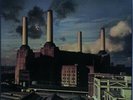 Pink Floyd - Animals - Columbia - JC 34474 - LP, Album, RP, Gat 770125689