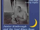 JUNIOR KIMBROUGH & THE SOUL BLUES BOYS - Sad Days Lonely Nights (Vinyl LP, 1998)