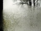 Bon Iver - For Emma, Forever Ago - LP Vinyl - CAD2809 - NEW