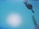 Gov't Mule The Deep End Volume 1 Vinyl Lp Movlp352