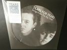 TEARS FOR FEARS     Songs From The Big Chair     PICTURE DISC Vinyl  SEALED 2020