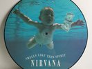 12 Picture Disc Vinyl Nirvana Smells like teen spirit 180g 